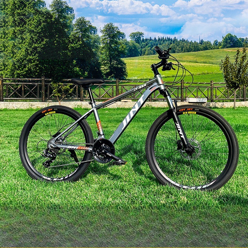 Wholesale Aluminum Alloy 26 In - огляд і ціна Commuting With Bike